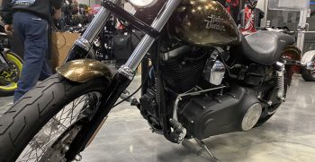 IMG_0211 2